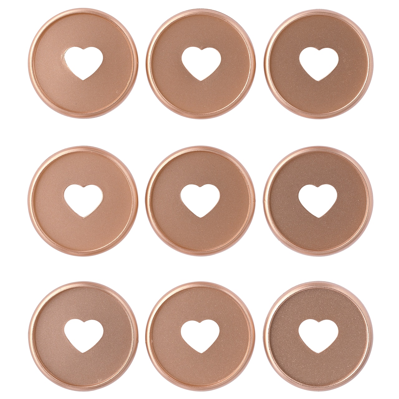 The Happy Planner® Classic Discs, Rose Gold